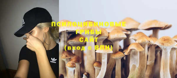 бошки Заволжье