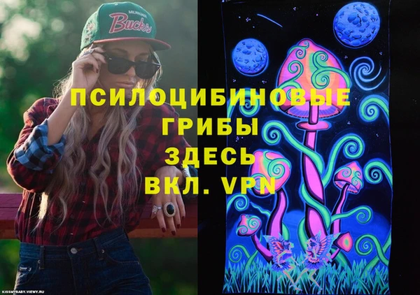 бошки Заволжье