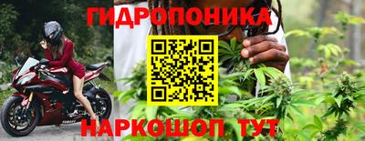 марки lsd Гусиноозёрск