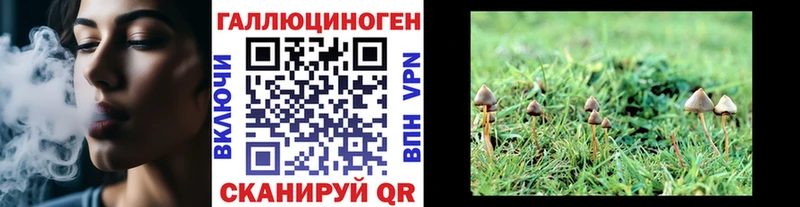 Галлюциногенные грибы ЛСД  продажа наркотиков  МЕГА ONION  Кизляр 
