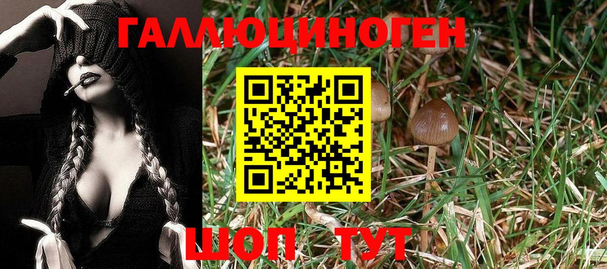 МДМА  Кизляр  Купить наркотики цена  Cocaine  МЕФ   Конопля  Гашиш  Вход с VPN 