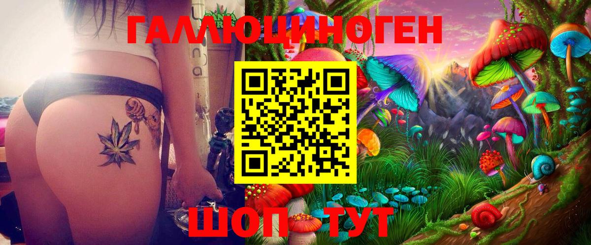 Псилоцибиновые грибы мухоморы Кизляр