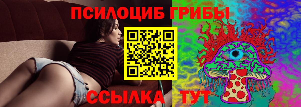 как найти закладки  Вход с VPN  Кизляр  Галлюциногенные грибы Cubensis  Галлюциногенные грибы ЛСД 